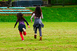 Removal from the village green register