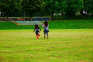 Removal from the village green register
