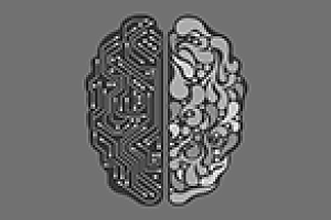 AI solutions: the contractual issues