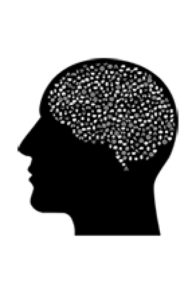 Mental health reform in Wales