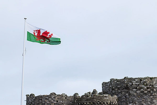 The Welsh Language and the Court of Protection